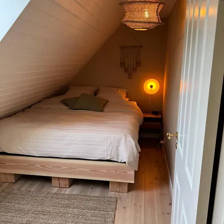 A Unique Gem In Sohojlandet *