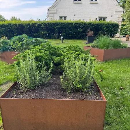 A Unique Gem In Sohojlandet Lägenhet Bryrup