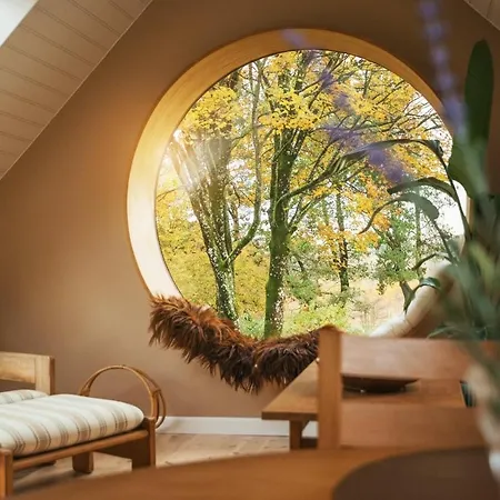A Unique Gem In Sohojlandet