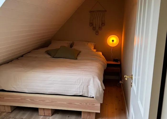 A Unique Gem In Sohojlandet *